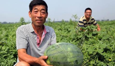 先来聊聊杀菌剂是啥玩意儿