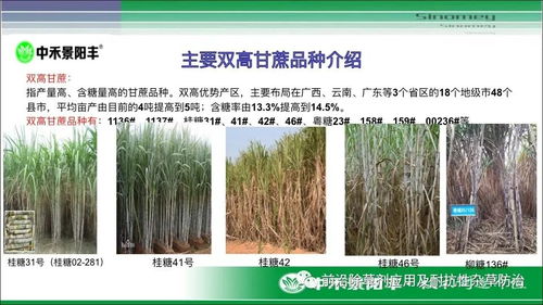 如何选择合适的除草剂