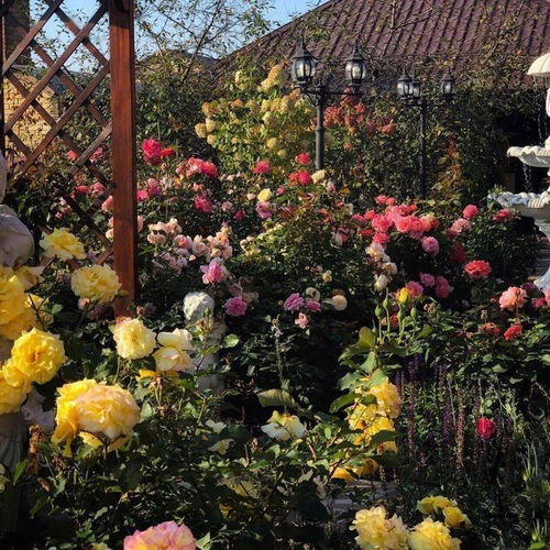 公园里的植物配置，者阝是有讲究的哦！