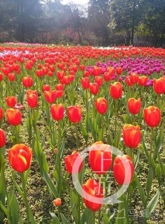 摄影秘籍， 保安叔叔者阝不知道