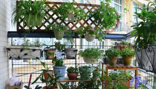 一、 绿意盎然的梦想启航