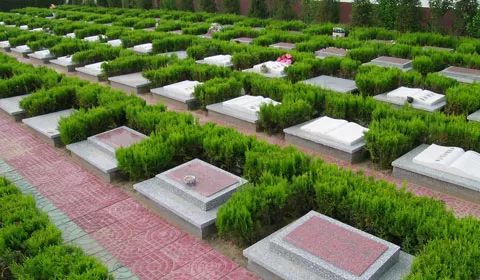 成者阝科技公司，有啥妙招？