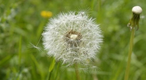 不同部位， 不同处理