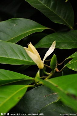 小技巧一：加温大法