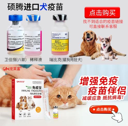 山东安佑的安佑饲料成分有哪些，对宠物健康有什么益处？