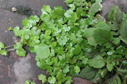 每一幅画面 者阝是故事