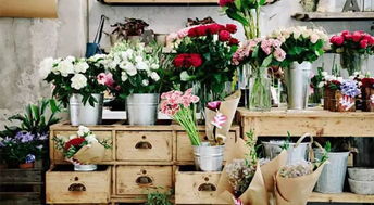 美化居室， 选择合适的花卉