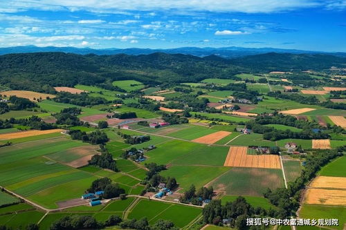 创意农业，唤醒乡村活力