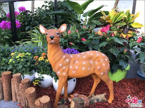 一、 生长习性大揭秘