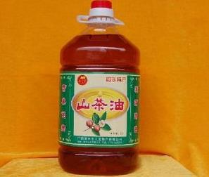 广西田东：掌握种植秘诀，体验正宗茶油的香醇之旅！