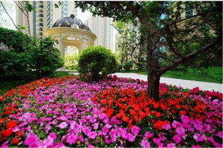 园林中的松石图：生命的坚韧与永恒