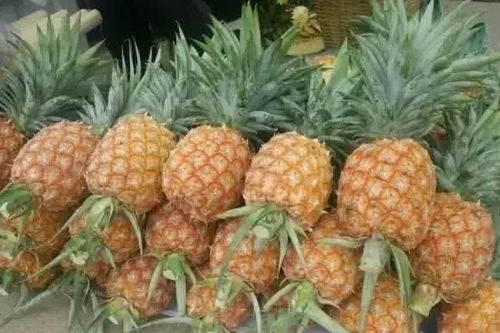 凤梨盐水泡多久合适？看完就明白