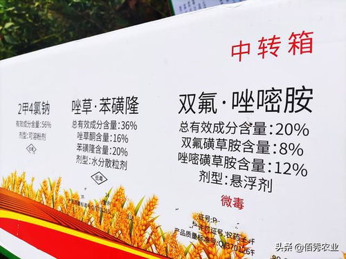 年后除草，也不赖！