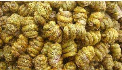 病虫害防治：铁皮枫斗的健康守护