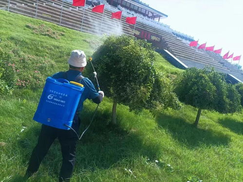 为什么精心处理反而加速死亡？