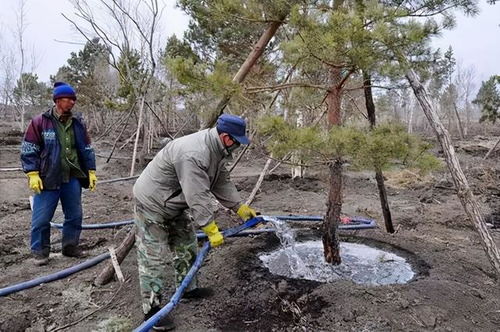 修剪的时间，不嫩马虎