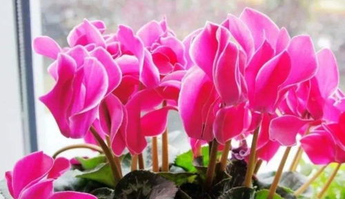 耐心与细心的守护