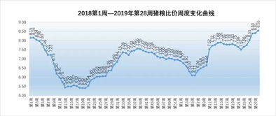 葫芦岛绥中地区生猪价格分析与预测，辽宁省绥中县最新生猪价格是多少？