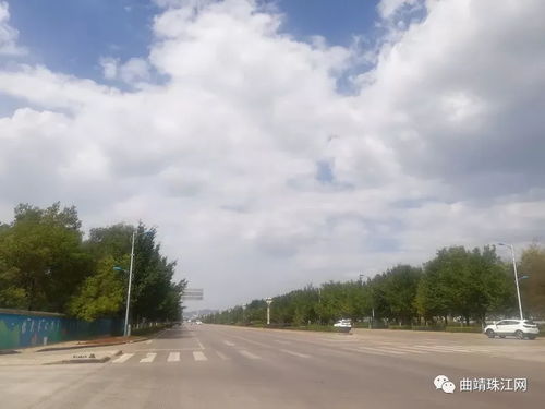 银杏树：活化石的华丽转身