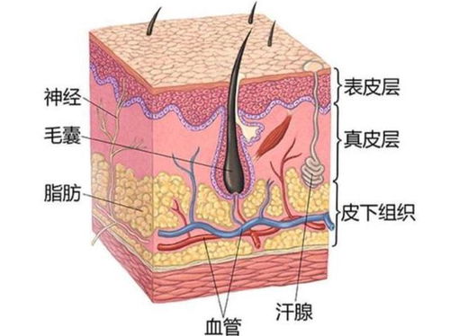 锈病在多少摄氏度条件下容易发生？