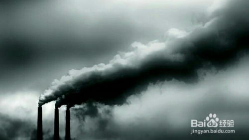 工厂周边种植植物， 保卫蓝天白云