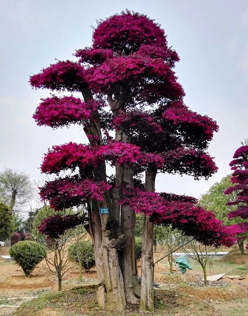 健康是价值的首要前提