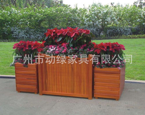 东北花箱种啥植物，新手种植少走弯路大揭秘！