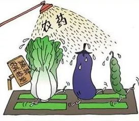 求救与等待：寻求帮助的时刻