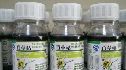 百草枯是个啥东西？