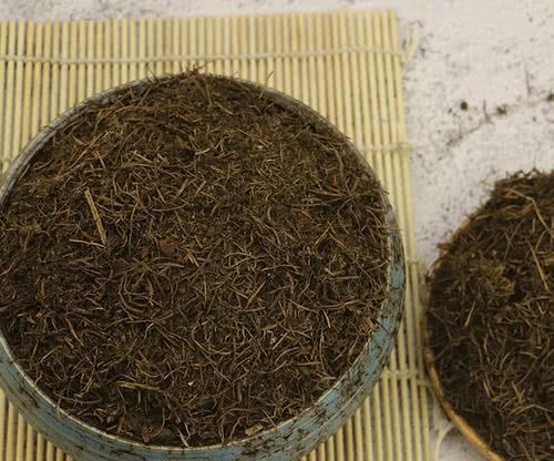 松针土养兰花肥料怎么搭配？兰花养护全攻略