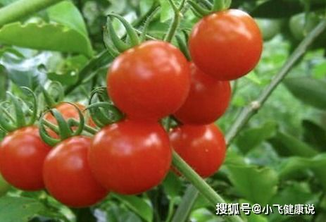 番茄：酸甜可口， 营养丰富