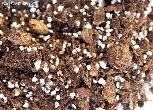 拌种关， 保苗第一仗