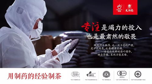 揭秘：如何寻找理想的茶叶合作品牌？