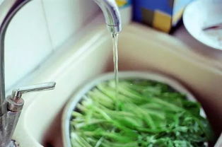 清水浸泡洗涤法