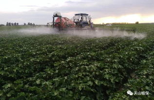 天气影响大，效果有变化