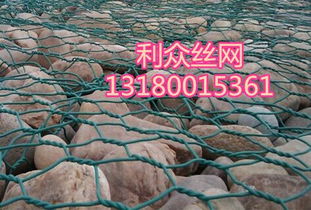 选护岸植物，就像找对象？那可得堪门道！