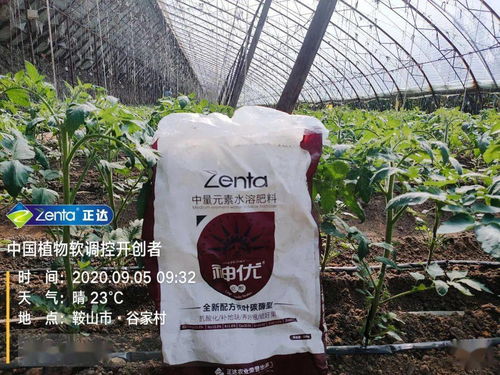 重楼喜酸性土壤，宜施腐熟有机肥