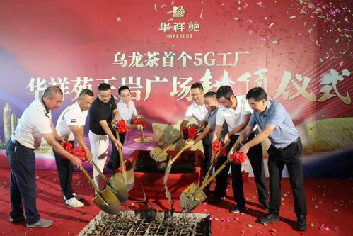 中国茶如何在全球竞争中脱颖而出，实现品牌升级和文化传播