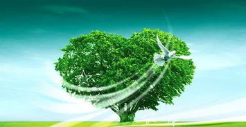 寒风中的绿洲：探索零下15度下的生存草种