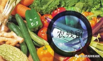 光合菌是怎么工作的？