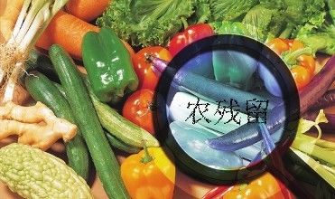 环境的“帮凶”