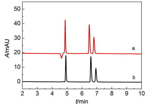 4. 毛细管电泳：微米级的分离技术
