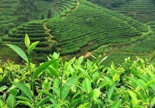 实战解析：误喷后的尴尬