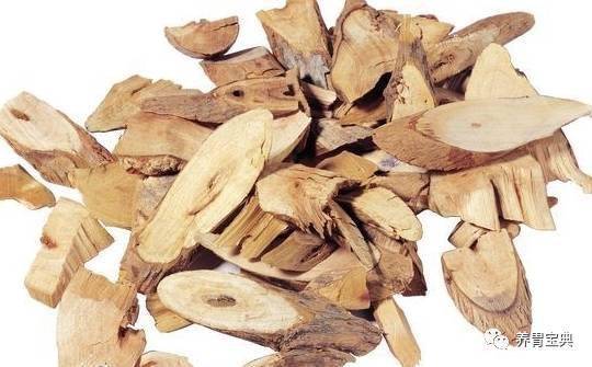 揭秘当归真面目：它真的是树吗？