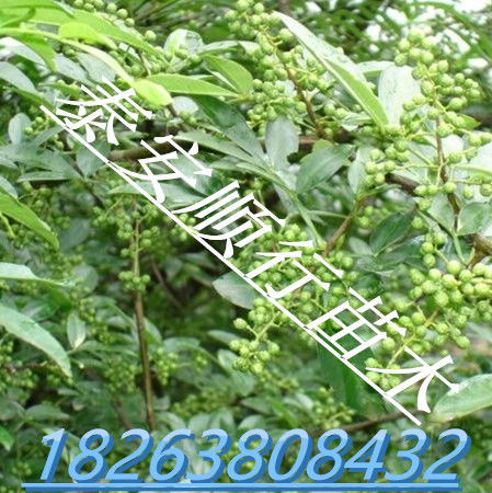 草莓打药配方时间表