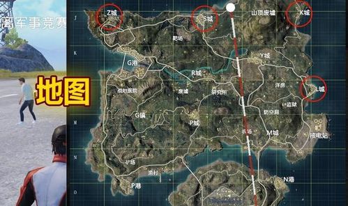 雪松的分布大地图