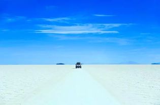 感受大自然 感悟生活