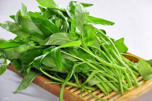 十字花科蔬菜哪种最好？这几种你一定要试试