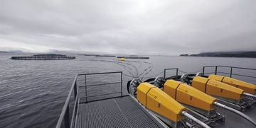 农业养殖智能饲喂系统，提升养殖效率