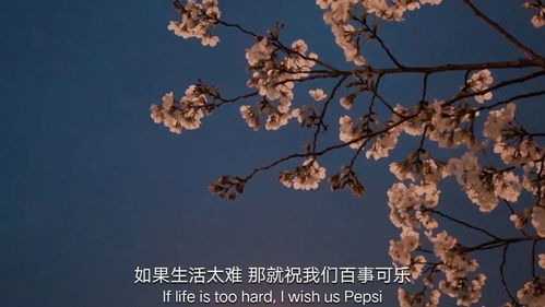 无尽夏，寓意永恒的爱与美好